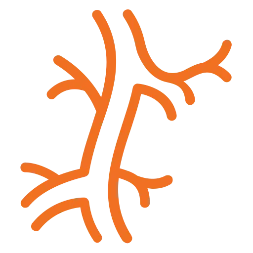 Illustration of a blood vessel in orange and white