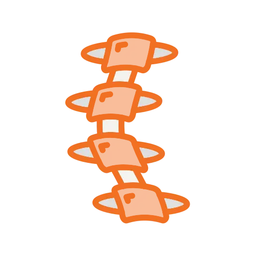 Illustration of bones and joints in orange and white